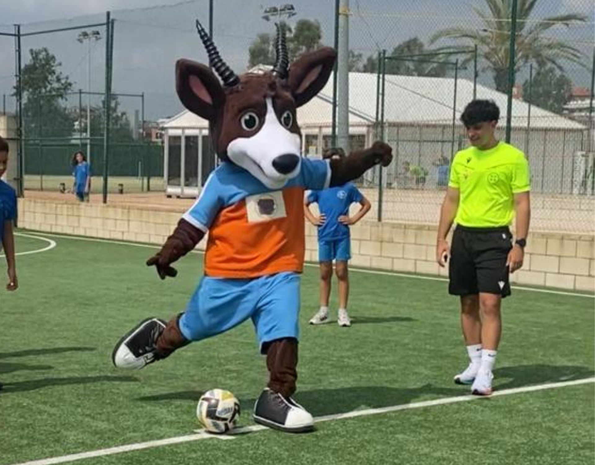 Galería Campus Impala 8